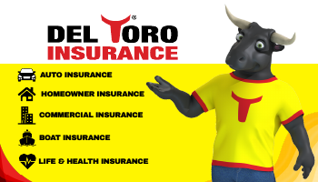 Del Toro Insurance — services business card