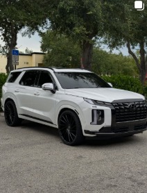 Hyundai Palisade Finished exterior — detailed by Vdetailss