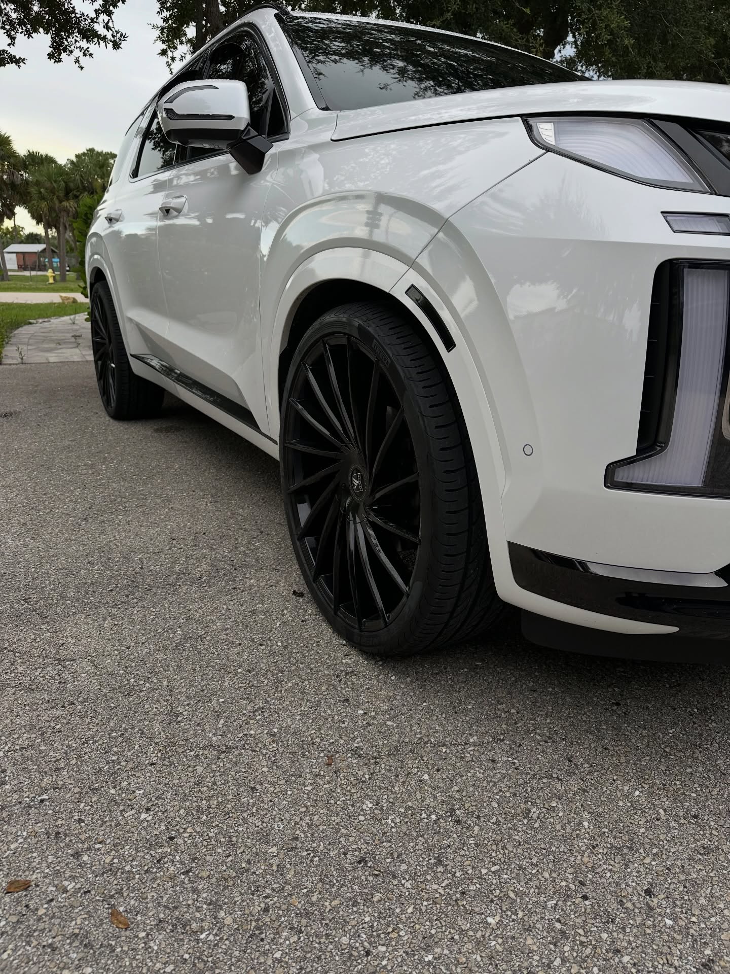 Hyundai Palisade Wheels and profile after — detailed by Vdetailss