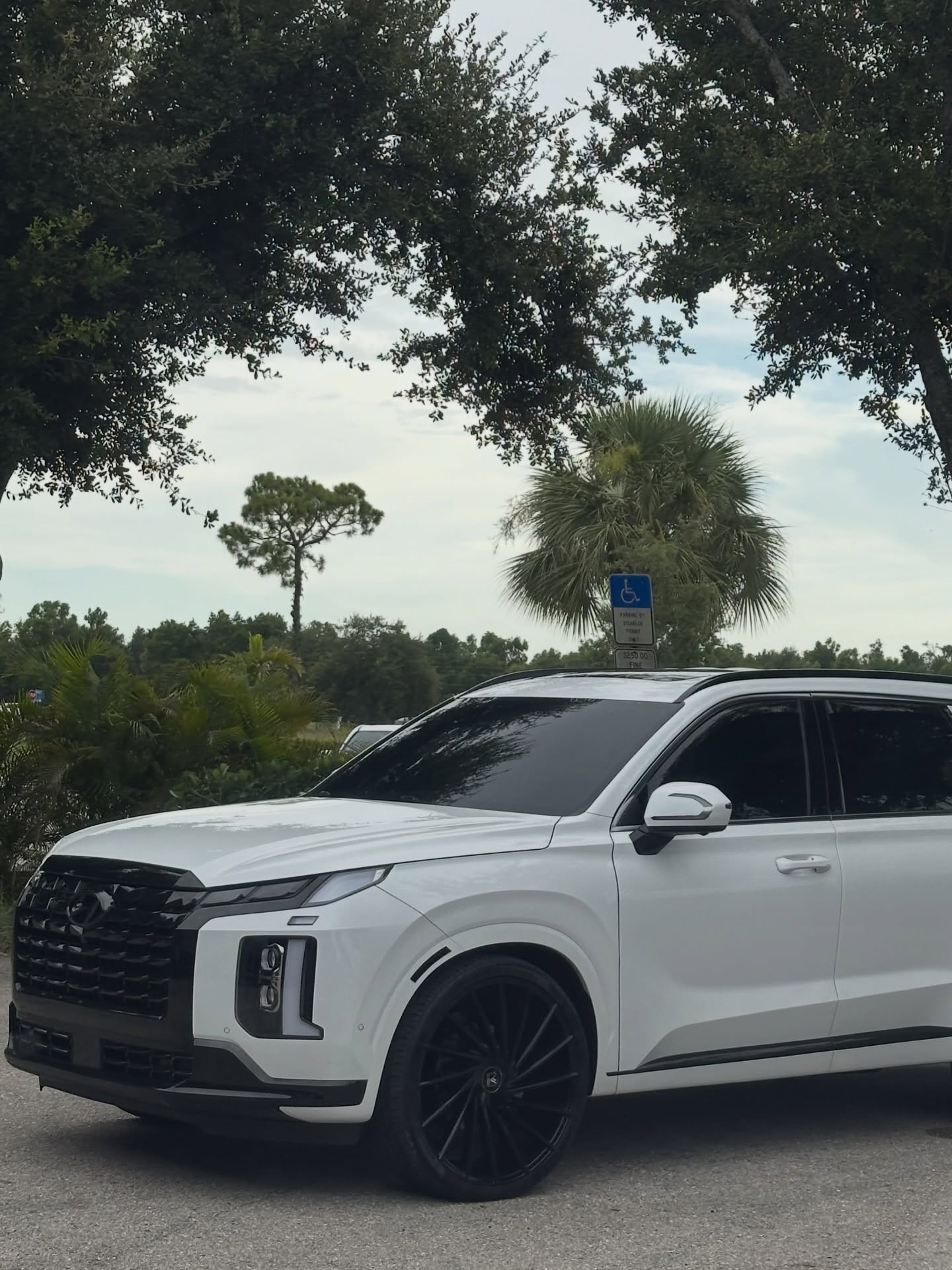 Hyundai Palisade Black Palisade finished — detailed by Vdetailss