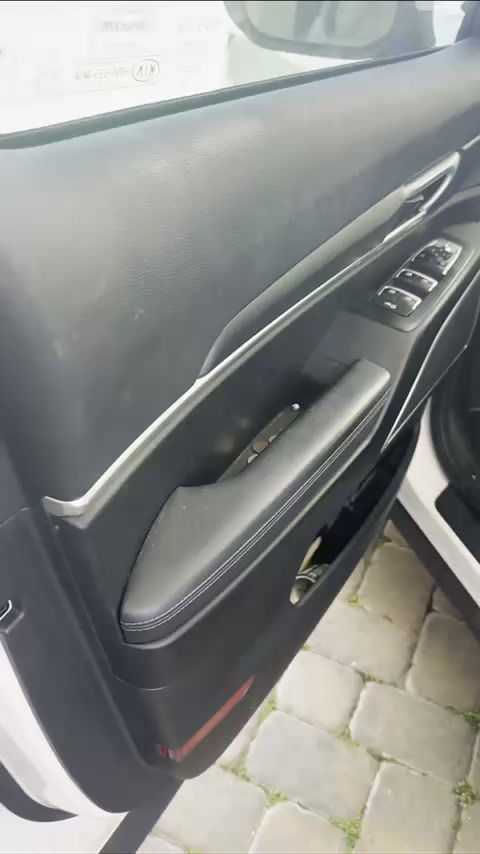 Kia Telluride Door panel & switchgear — interior detailing by Vdetailss